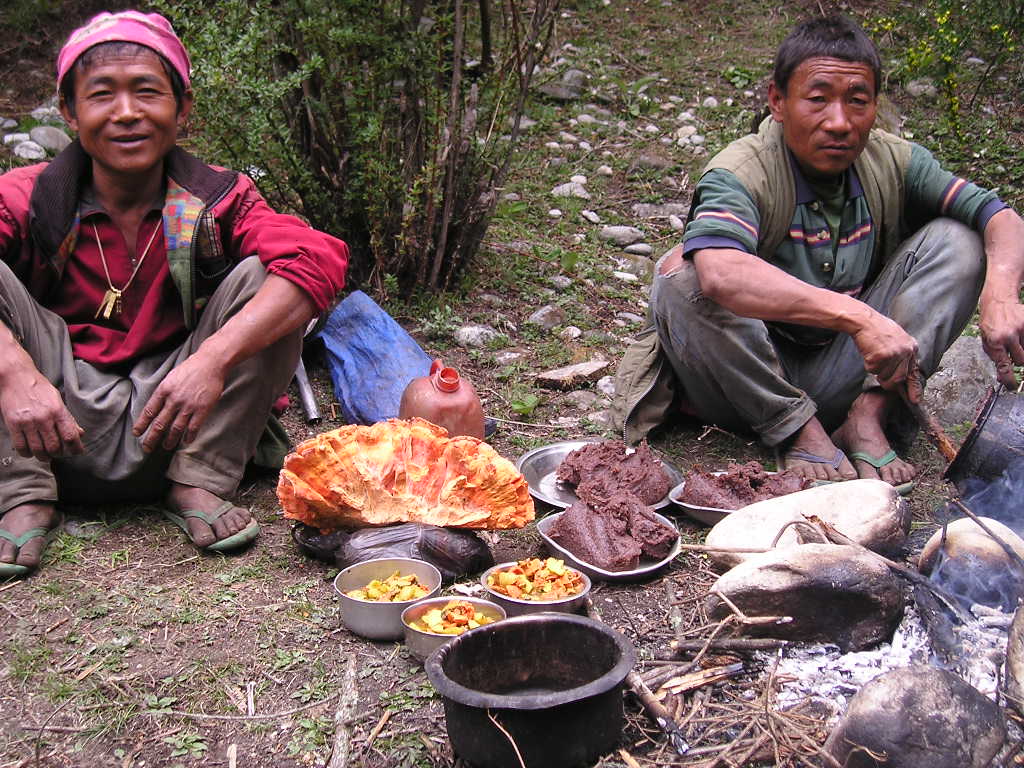 लेइटीपोरस सल्फुरियस तस्विर श्रोतः कमल मादेन (सोलुखुम्बु).jpg